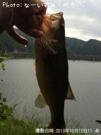 ¥Ö¥é¥Ã¥¯¥Ð¥¹