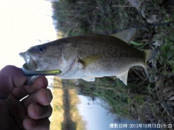 �֥�å��Х�