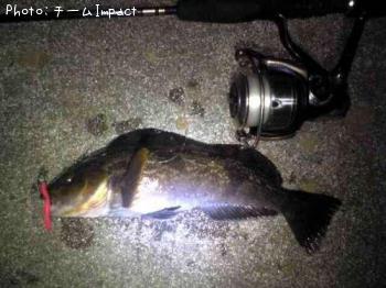 �����ʥ�