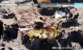 �����ꥤ��