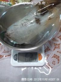 �����ꥤ��