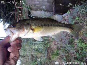 �֥�å��Х�