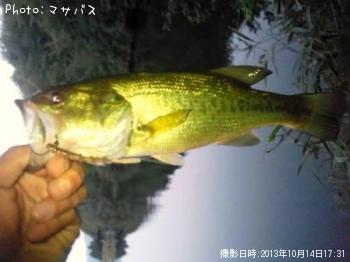 �֥�å��Х�