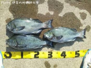 ¸ýÂÀ¥á¥¸¥Ê