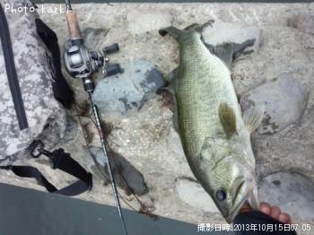 �֥�å��Х�