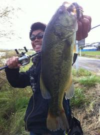 �֥�å��Х�