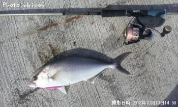 ¥«¥ó¥Ñ¥Á¤Î»Ò