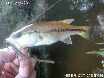 �֥�å��Х�