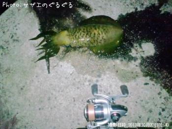 �����ꥤ��