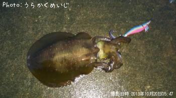 �����ꥤ��