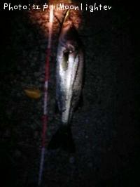 �����Х�