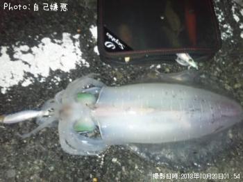 �����ꥤ��