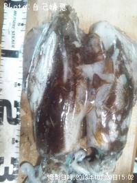 �����ꥤ��