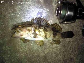 ¥¿¥±¥Î¥³¥á¥Ð¥ë