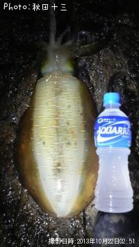 ¥¢¥ª¥ê¥¤¥«