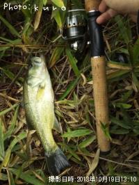 ¥Ö¥é¥Ã¥¯¥Ð¥¹