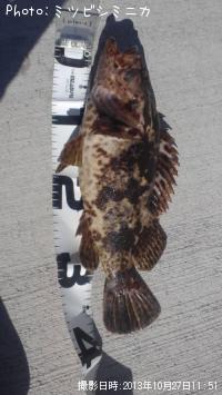 �����Υ���Х�