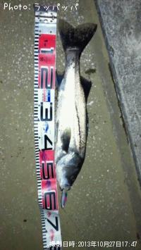 �����Х�