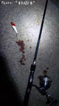 �����Х�