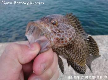 ¥ª¥ª¥â¥ó¥Ï¥¿