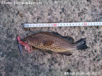 ¥ª¥ª¥â¥ó¥Ï¥¿