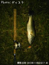 ¥Ö¥é¥Ã¥¯¥Ð¥¹