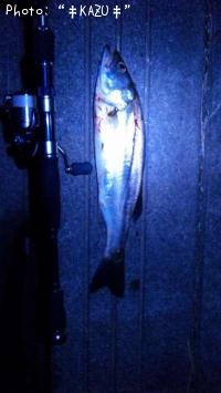 �����Х�