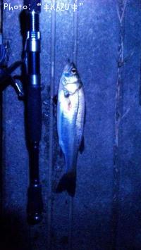 �����Х�