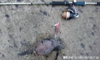 ���֥���