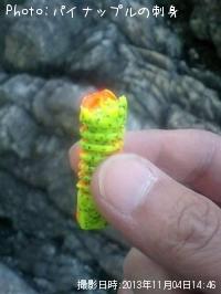 �����ʥ�