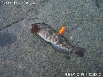 �����ʥ�