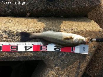 �����Х�