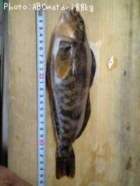 �����ʥ�