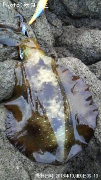 �����ꥤ��