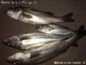 �����Х�