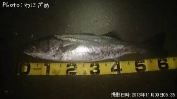 �����Х�