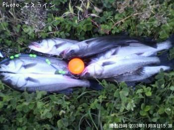 �����Х�