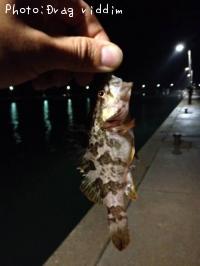 �����Υ���Х�