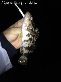 ¥¿¥±¥Î¥³¥á¥Ð¥ë