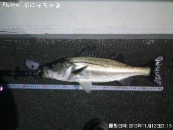 �����Х�