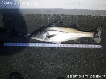 �����Х�