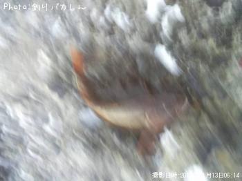 �����ʥ�