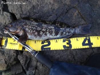 �����ʥ�