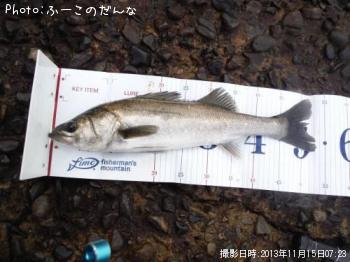 �����Х�