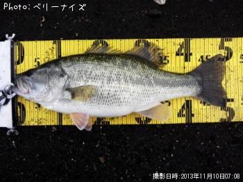 �֥�å��Х�