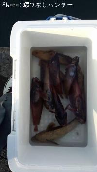 �����ʥᡢ�ɥ�