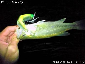 �֥�å��Х�