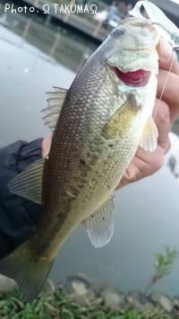 �֥�å��Х�