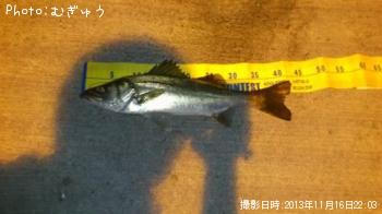 �����Х�