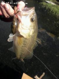 �֥�å��Х�